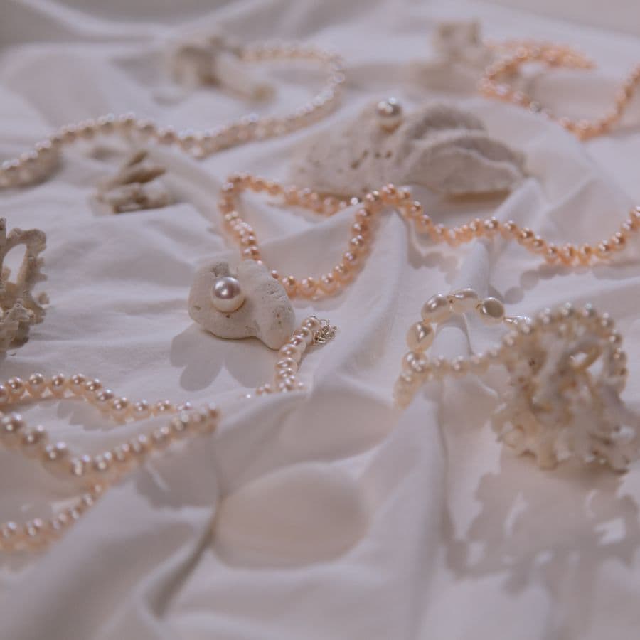 Collier coquillages